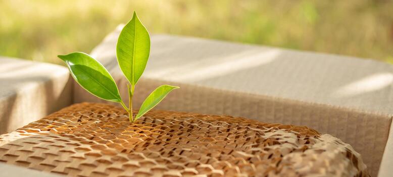 Eco-Friendly Decor Products